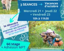Stage médiation animale