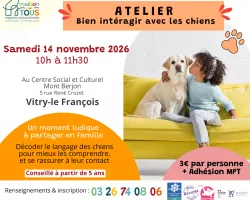 Bien interagir avec les chiens