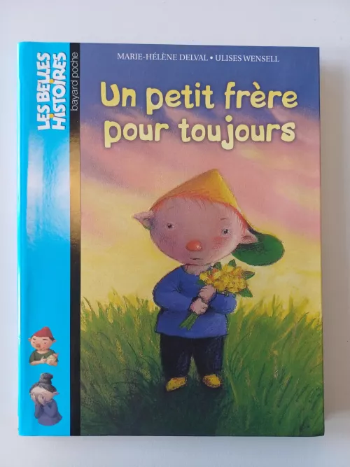 Un petit frère pour toujours 