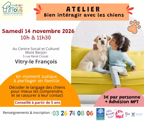 Bien interagir avec les chiens